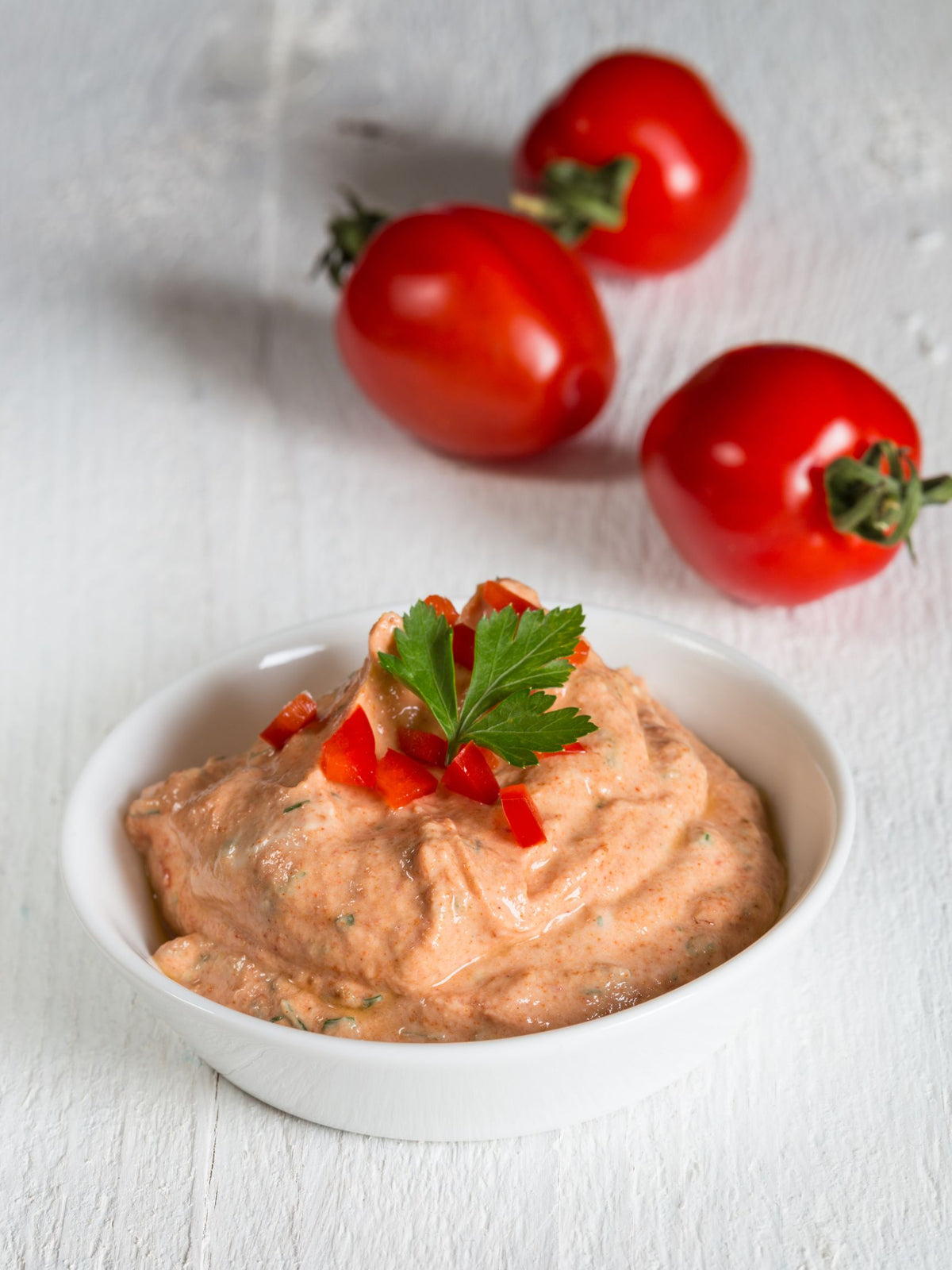 Mexican Fiesta Dip Mix