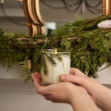 Load image into Gallery viewer, Thymes ~ Frasier Fir Fragrance
